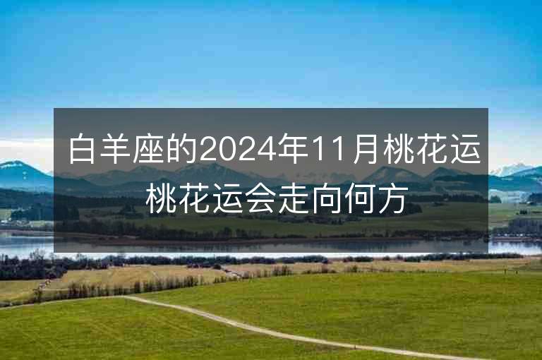 白羊座的2024年11月桃花运 桃花运会走向何方