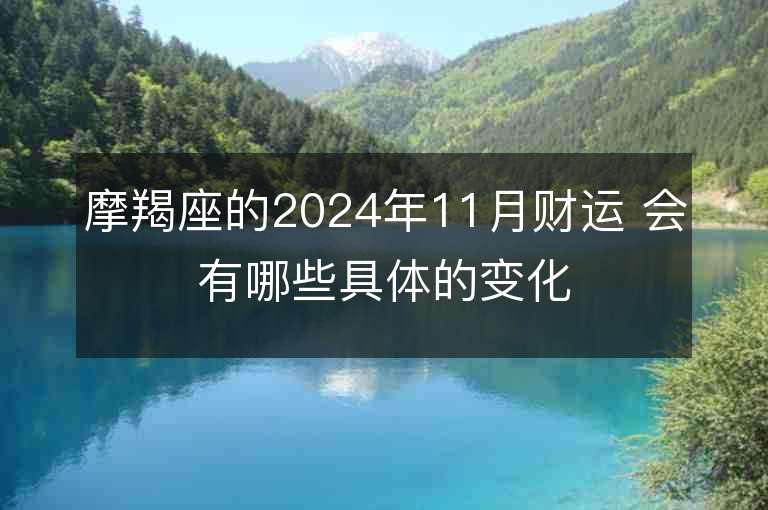 摩羯座的2024年11月财运 会有哪些具体的变化