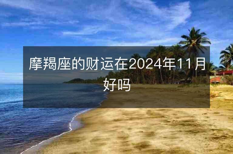 摩羯座的财运在2024年11月好吗