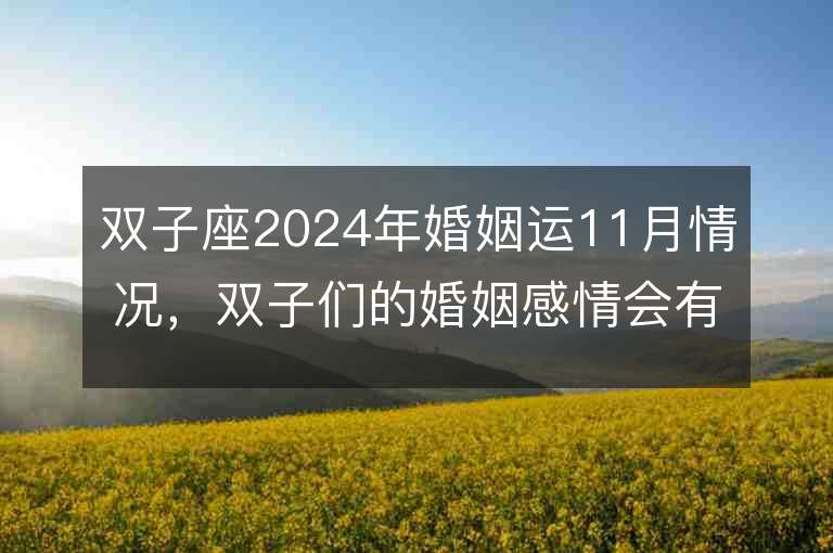 双子座2024年婚姻运11月情况，双子们的婚姻感情会有何发展