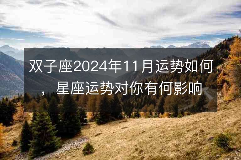 双子座2024年11月运势如何，星座运势对你有何影响