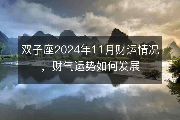 双子座2024年11月财运情况，财气运势如何发展