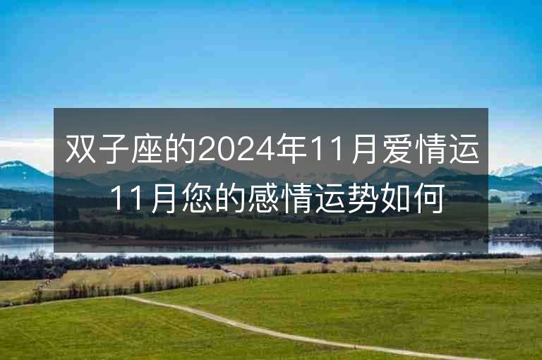 双子座的2024年11月爱情运 11月您的感情运势如何