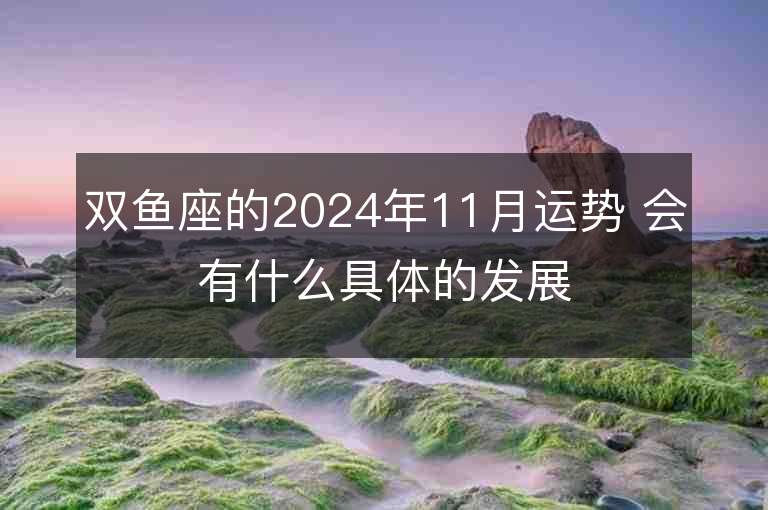 双鱼座的2024年11月运势 会有什么具体的发展