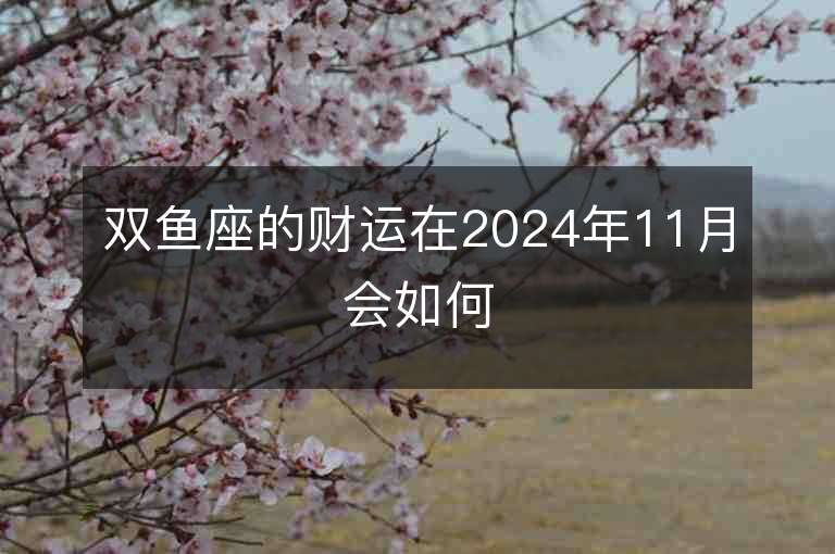 双鱼座的财运在2024年11月会如何