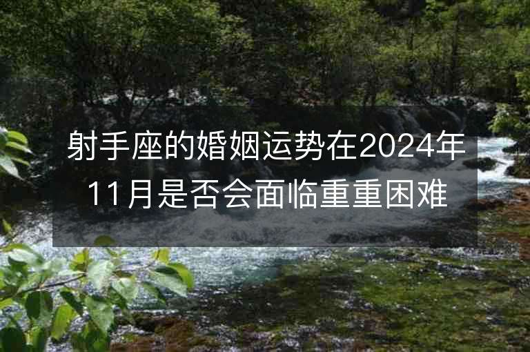 射手座的婚姻运势在2024年11月是否会面临重重困难