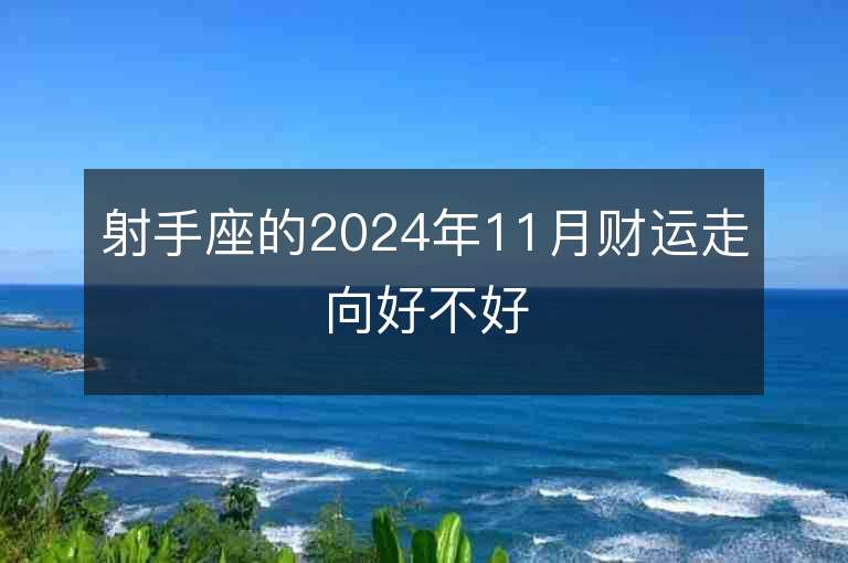 射手座的2024年11月财运走向好不好