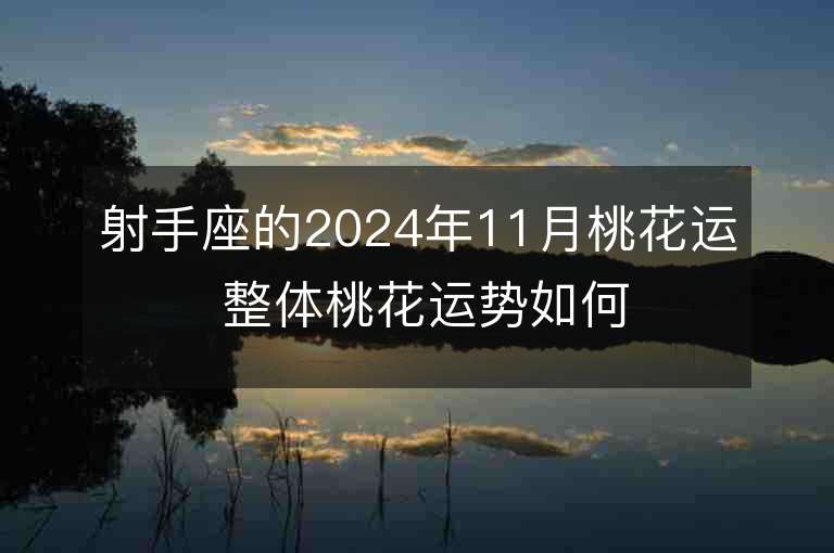 射手座的2024年11月桃花运 整体桃花运势如何