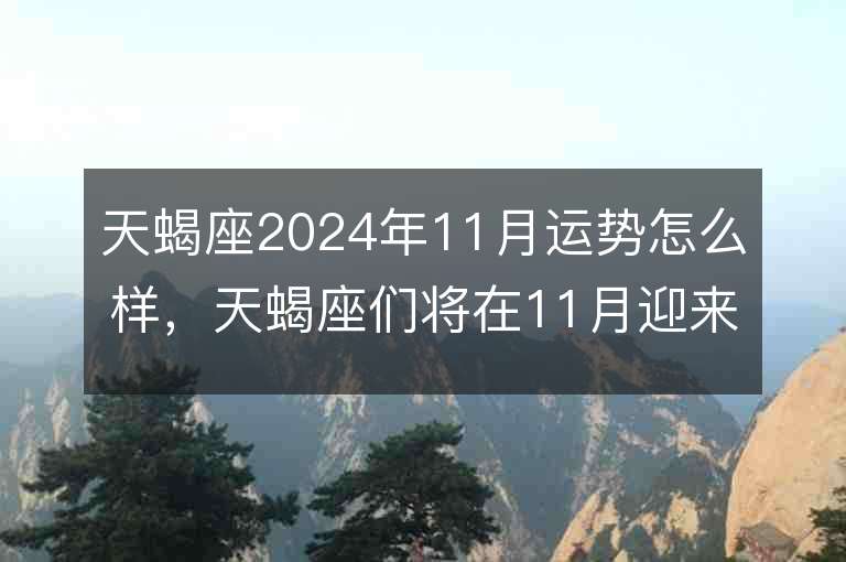 天蝎座2024年11月运势怎么样，天蝎座们将在11月迎来什么样的挑战和机遇