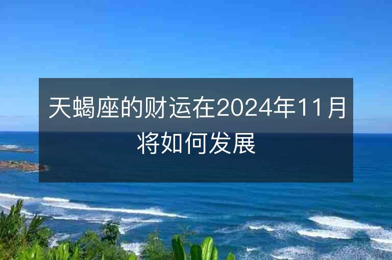 天蝎座的财运在2024年11月将如何发展