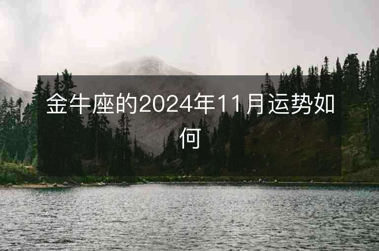 金牛座的2024年11月运势如何