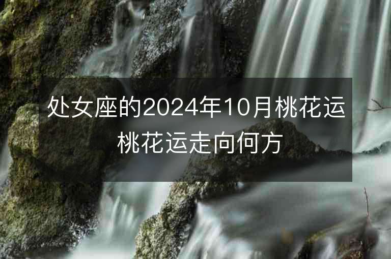 处女座的2024年10月桃花运 桃花运走向何方