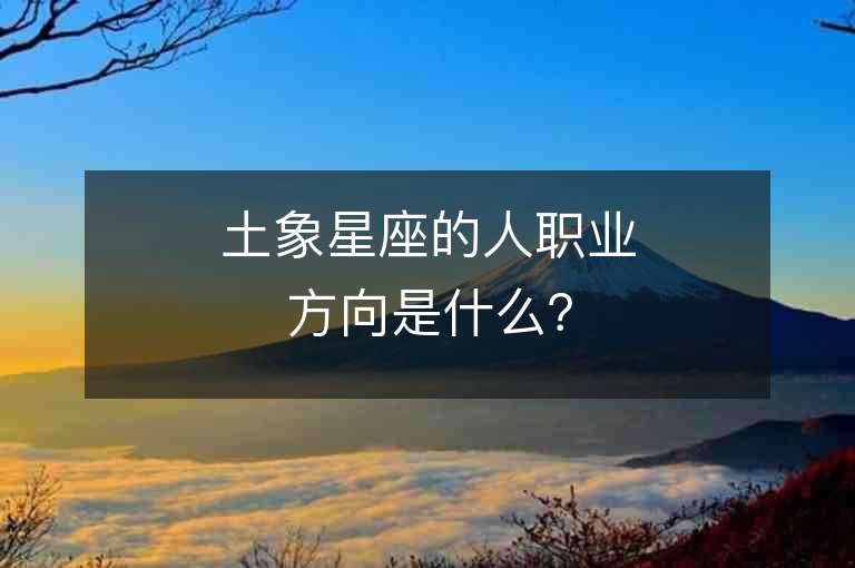 土象星座的人职业方向是什么？