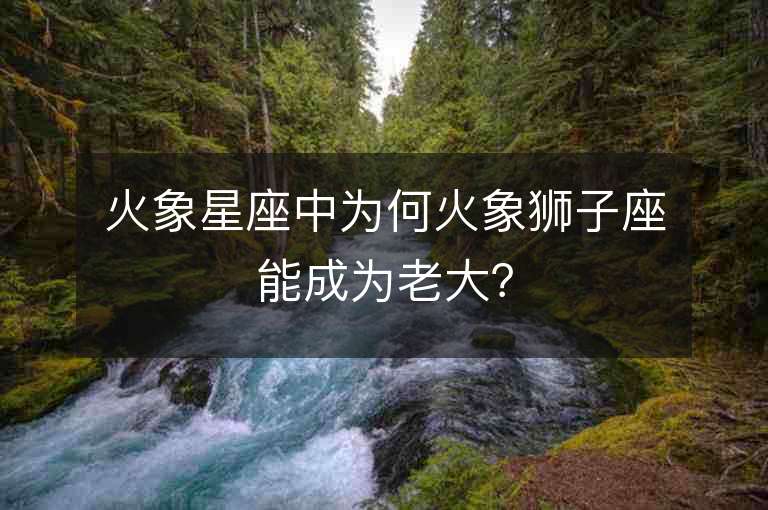 火象星座中为何火象狮子座能成为老大？