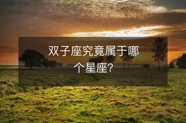 双子座究竟属于哪个星座？