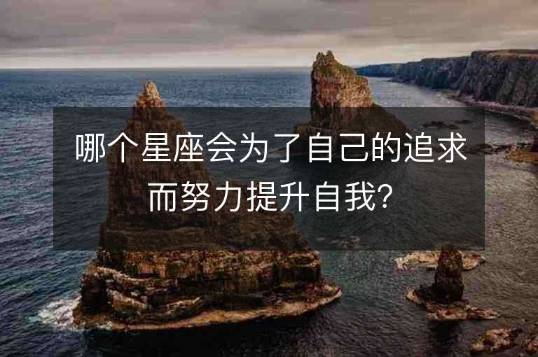 哪个星座会为了自己的追求而努力提升自我？