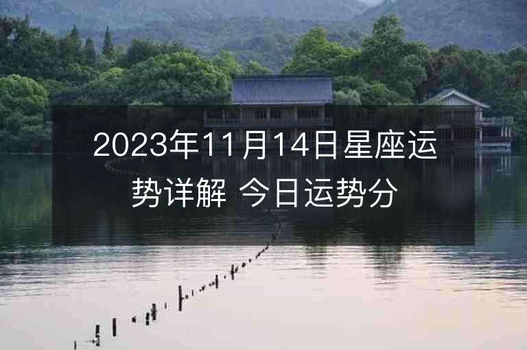 2023年11月14日星座运势详解 今日运势分享