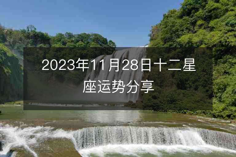 2023年11月28日十二星座运势分享