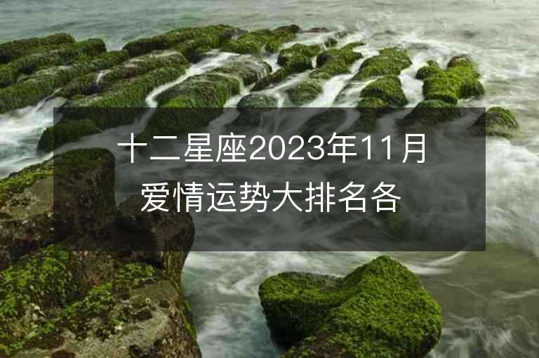 十二星座2023年11月爱情运势大排名各有高低，你的星座会位居何处