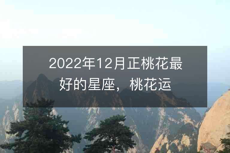 2022年12月正桃花最好的星座，桃花运旺的星座是如何做到的？