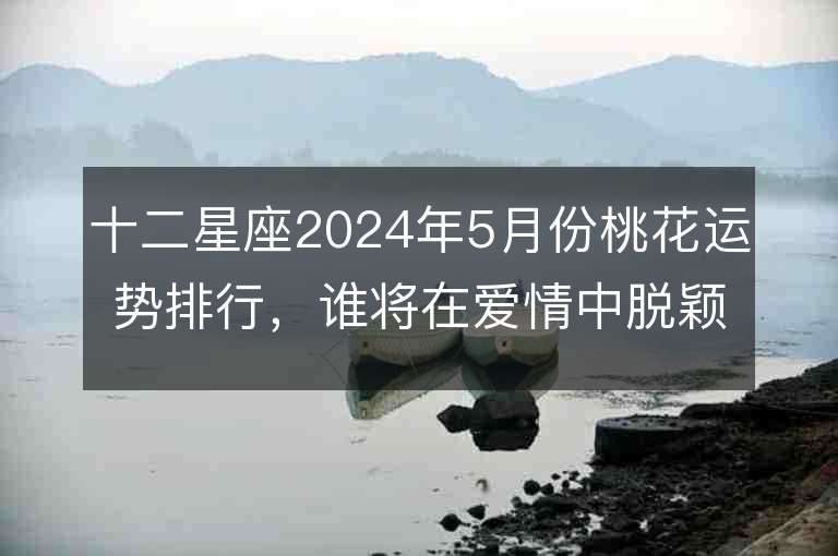 十二星座2024年5月份桃花运势排行，谁将在爱情中脱颖而出