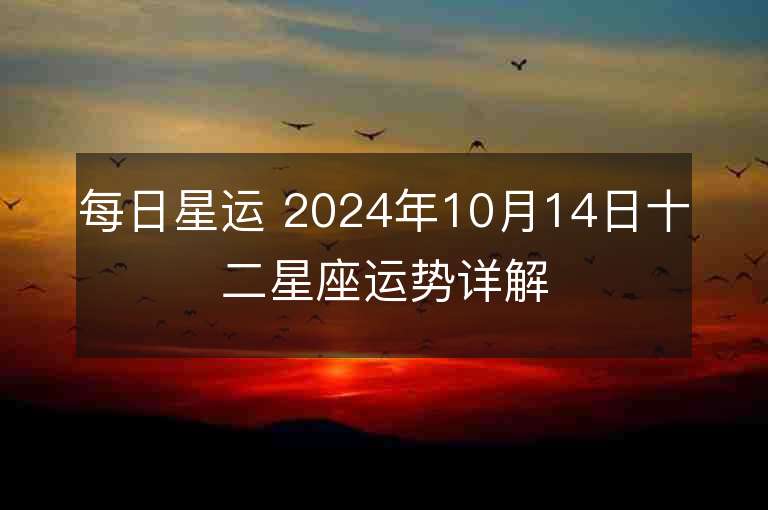 每日星运 2024年10月14日十二星座运势详解