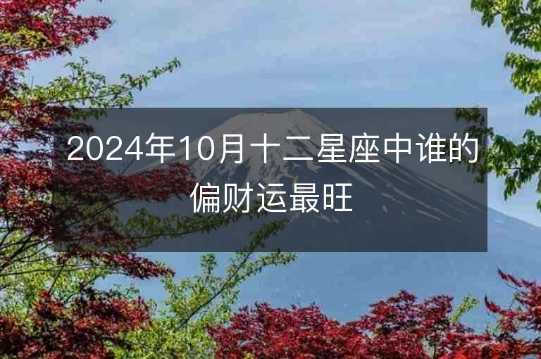 2024年10月十二星座中谁的偏财运最旺