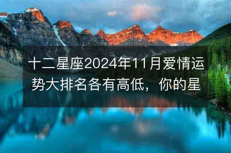 十二星座2024年11月爱情运势大排名各有高低，你的星座会位居何处