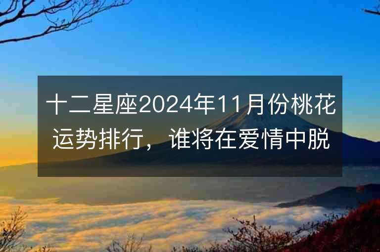 十二星座2024年11月份桃花运势排行，谁将在爱情中脱颖而出