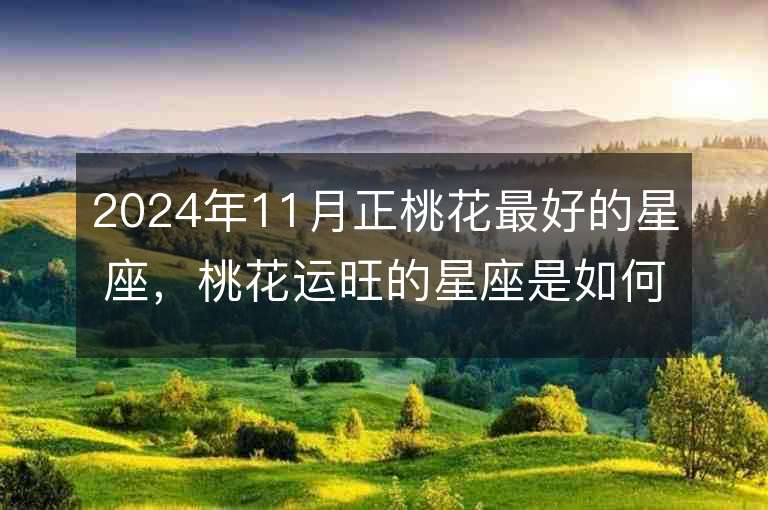 2024年11月正桃花最好的星座，桃花运旺的星座是如何做到的